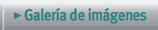 Galera de imgenes